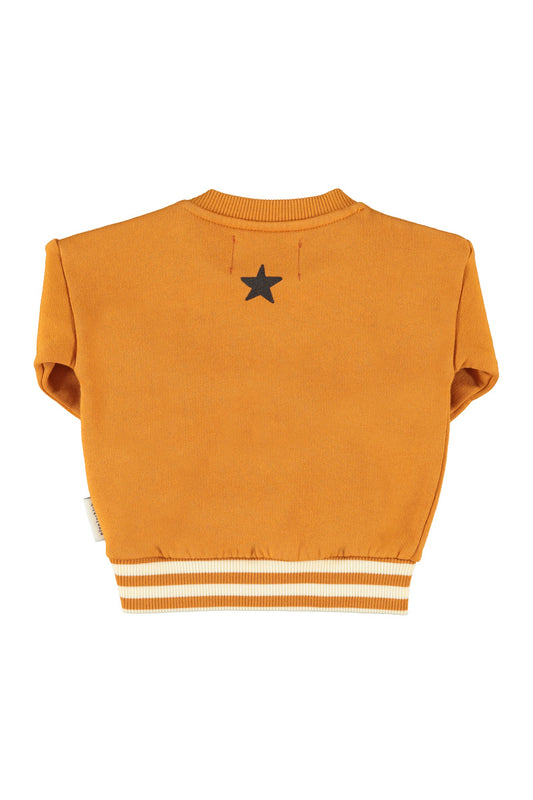 Sweatshirt (FLP2603A) - Camel W/ Piupiuchick Print