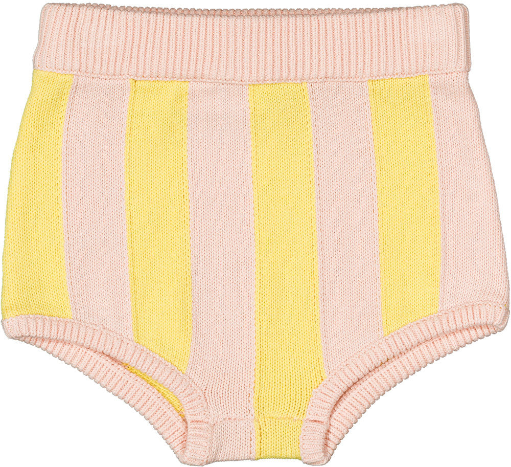 Louis Louise Bloomer Colchique