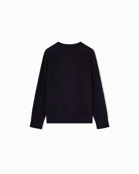 Emporio Armani Boy Eagle Sweater EB001229