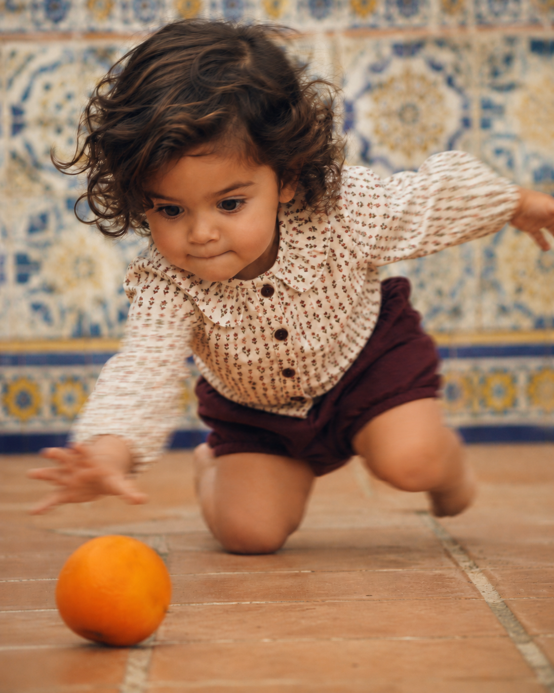 Emerson Baby Girl Shirt + Bloomers Set - Burgundy/Floral