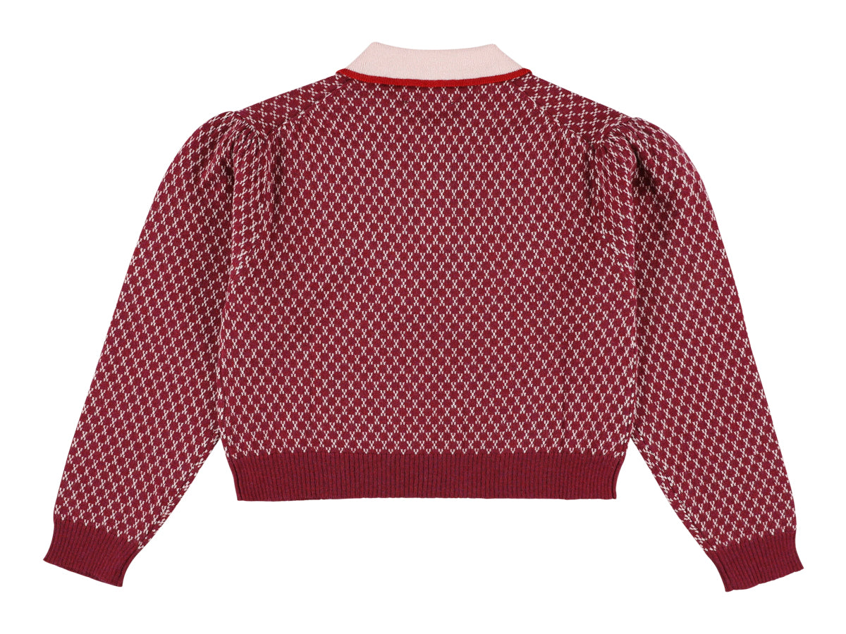 Zug Polo - Persian