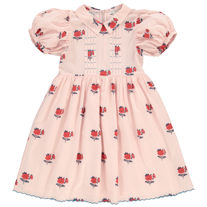 April Special Dress