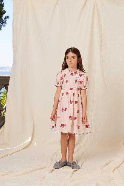 April Special Dress