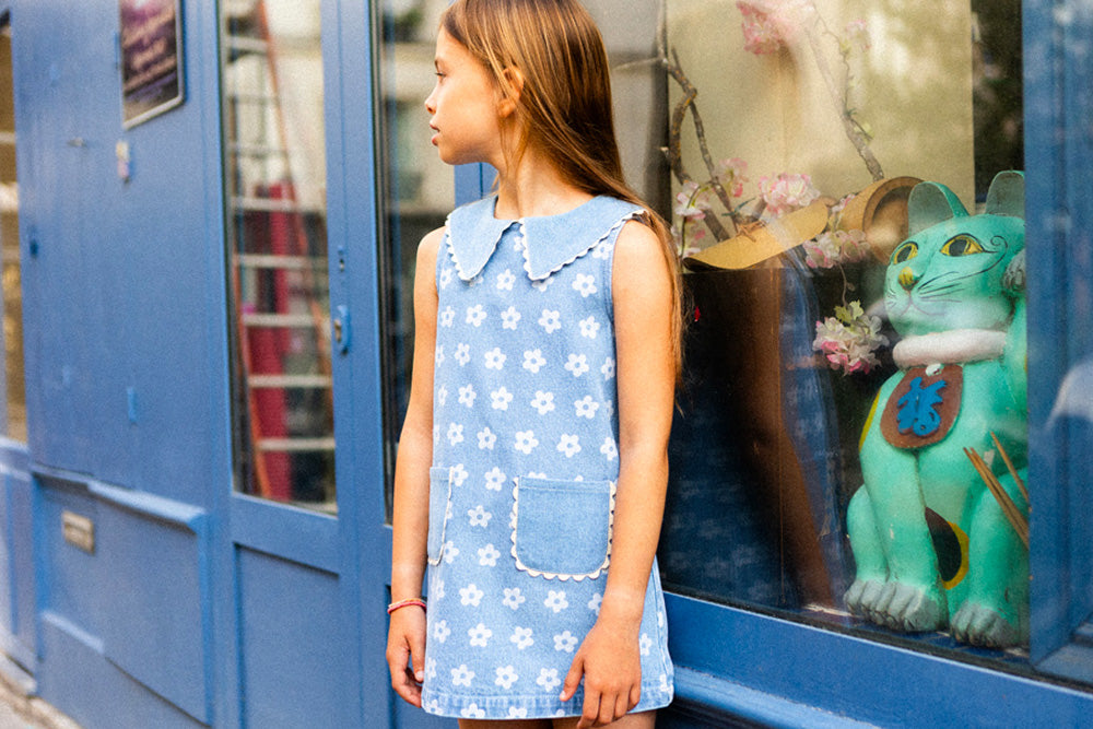 Louis Louise Dress Mitsette