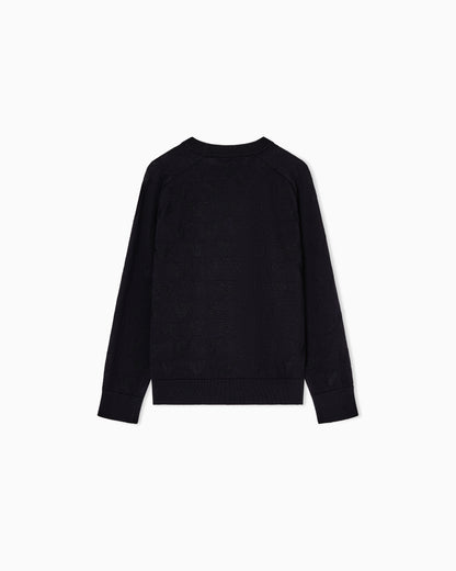 Emporio Armani Boy Eagle Sweater EB001229