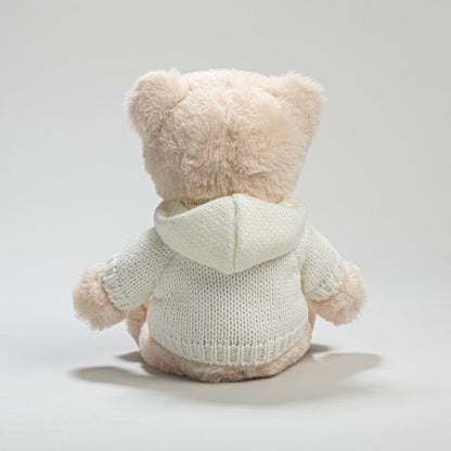 Teddy Bear with Hooded Sweater - Pink